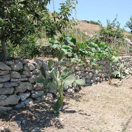 콜림바리 Old Winery House 빌라 외부 사진